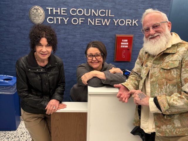 City Council Hearing